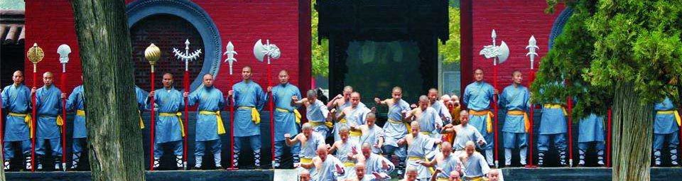 Shaolin Wushu Training Center