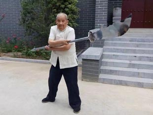 Shaolin Master