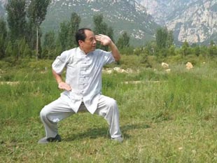 Shaolin Master